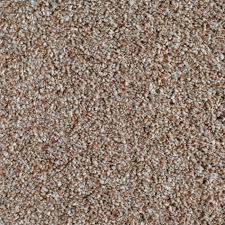 Carpet (Rugs on Carpet)